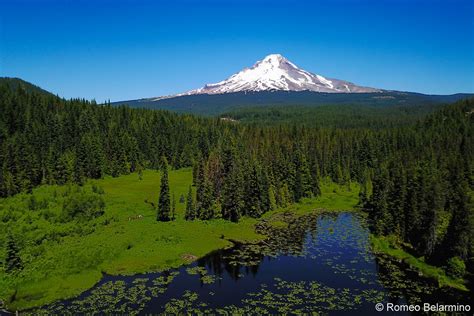 Mt hood national forest - The Mt. Hood National Forest is 20 miles away from Portland making it Oregon’s largest city’s backyard National Forest. It extends south from the Columbia River Gorge across more than sixty miles of forested mountains, lakes and streams to Olallie Scenic Area, a high lake basin under the slopes of Mt. Jefferson. The Cascade Range …